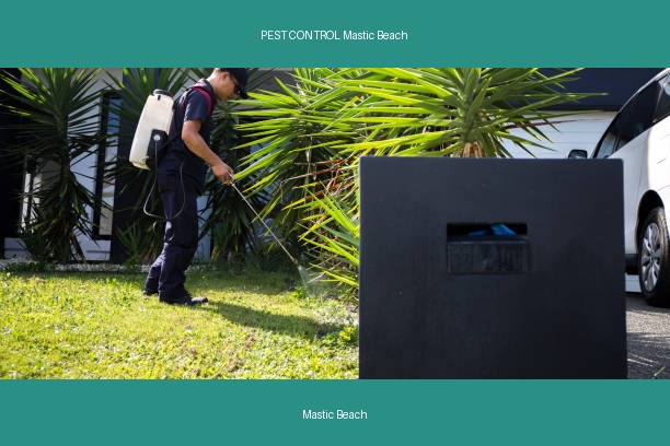 PEST CONTROL Mastic Beach